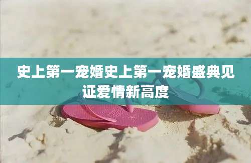 史上第一宠婚史上第一宠婚盛典见证爱情新高度