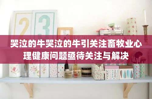 哭泣的牛哭泣的牛引关注畜牧业心理健康问题亟待关注与解决