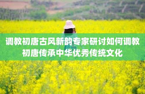 调教初唐古风新韵专家研讨如何调教初唐传承中华优秀传统文化
