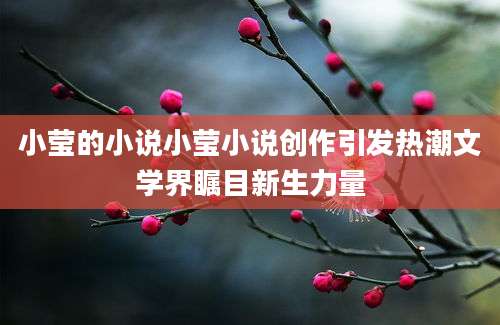 小莹的小说小莹小说创作引发热潮文学界瞩目新生力量