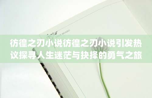彷徨之刃小说彷徨之刃小说引发热议探寻人生迷茫与抉择的勇气之旅