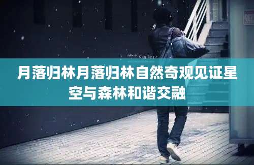 月落归林月落归林自然奇观见证星空与森林和谐交融
