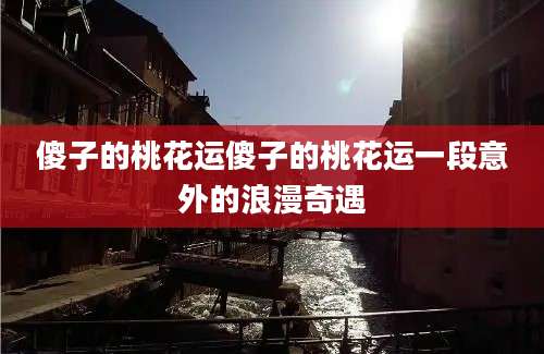 傻子的桃花运傻子的桃花运一段意外的浪漫奇遇