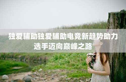 独爱辅助独爱辅助电竞新趋势助力选手迈向巅峰之路