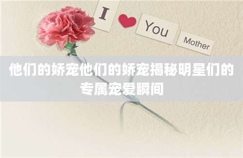 他们的娇宠他们的娇宠揭秘明星们的专属宠爱瞬间