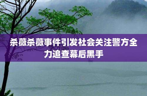 杀薇杀薇事件引发社会关注警方全力追查幕后黑手