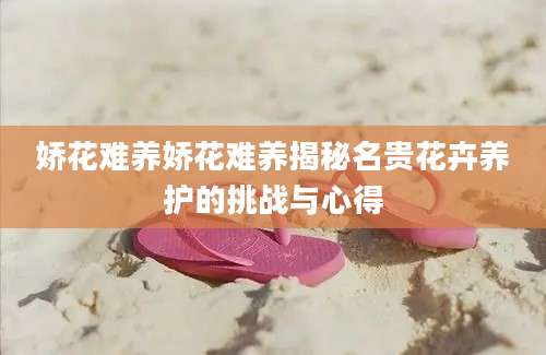 娇花难养娇花难养揭秘名贵花卉养护的挑战与心得