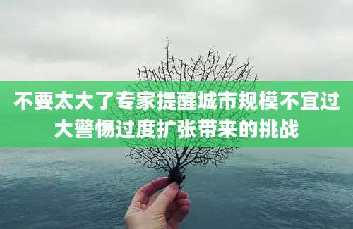 不要太大了专家提醒城市规模不宜过大警惕过度扩张带来的挑战