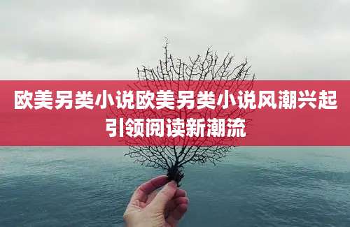 欧美另类小说欧美另类小说风潮兴起引领阅读新潮流