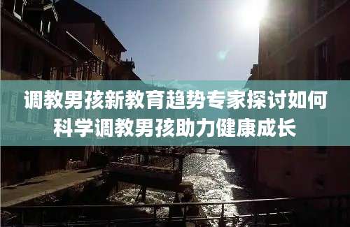 调教男孩新教育趋势专家探讨如何科学调教男孩助力健康成长