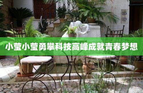 小莹小莹勇攀科技高峰成就青春梦想