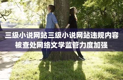 三级小说网站三级小说网站违规内容被查处网络文学监管力度加强