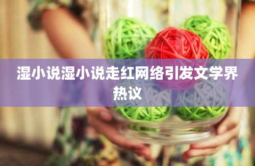 湿小说湿小说走红网络引发文学界热议