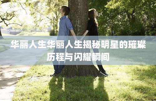 华丽人生华丽人生揭秘明星的璀璨历程与闪耀瞬间