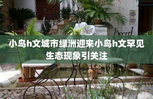 小鸟h文城市绿洲迎来小鸟h文罕见生态现象引关注