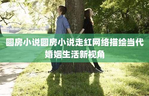 圆房小说圆房小说走红网络描绘当代婚姻生活新视角