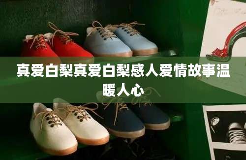 真爱白梨真爱白梨感人爱情故事温暖人心