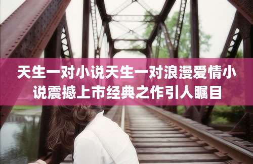 天生一对小说天生一对浪漫爱情小说震撼上市经典之作引人瞩目