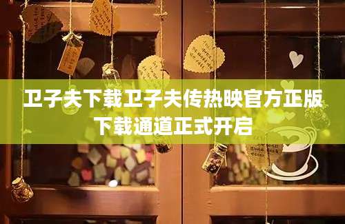 卫子夫下载卫子夫传热映官方正版下载通道正式开启