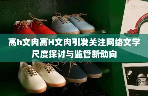 高h文肉高H文肉引发关注网络文学尺度探讨与监管新动向