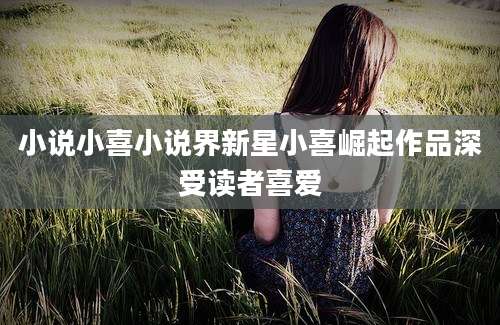 小说小喜小说界新星小喜崛起作品深受读者喜爱