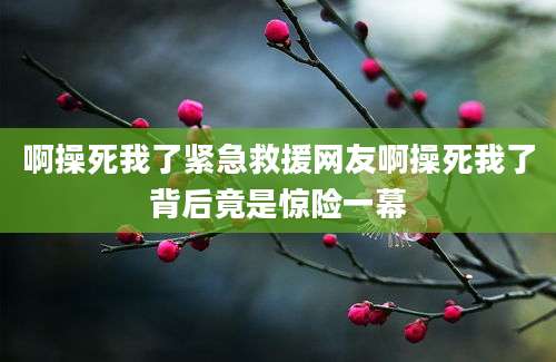啊操死我了紧急救援网友啊操死我了背后竟是惊险一幕