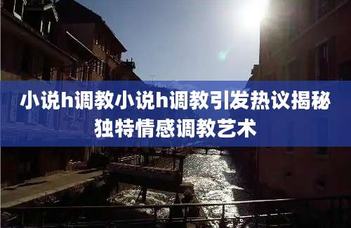 小说h调教小说h调教引发热议揭秘独特情感调教艺术