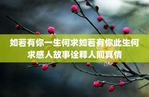 如若有你一生何求如若有你此生何求感人故事诠释人间真情