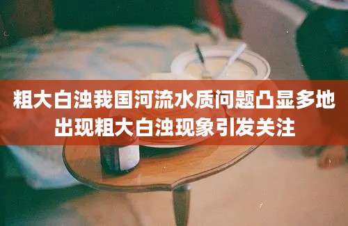 粗大白浊我国河流水质问题凸显多地出现粗大白浊现象引发关注