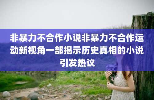 非暴力不合作小说非暴力不合作运动新视角一部揭示历史真相的小说引发热议