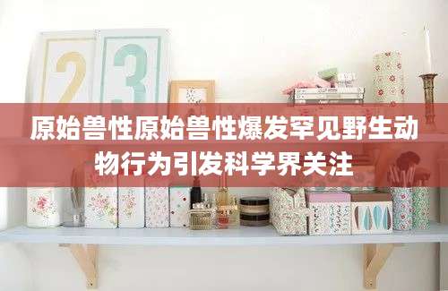 原始兽性原始兽性爆发罕见野生动物行为引发科学界关注