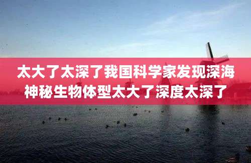 太大了太深了我国科学家发现深海神秘生物体型太大了深度太深了