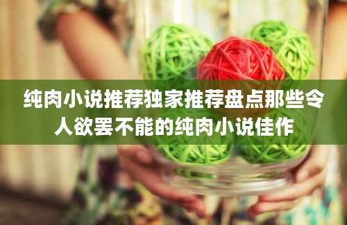 纯肉小说推荐独家推荐盘点那些令人欲罢不能的纯肉小说佳作