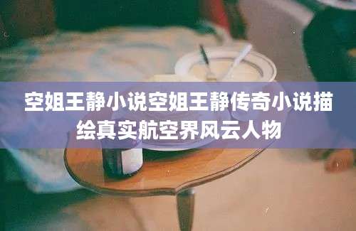 空姐王静小说空姐王静传奇小说描绘真实航空界风云人物