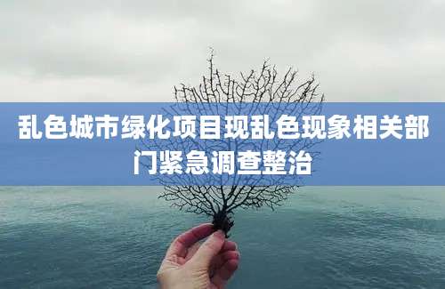乱色城市绿化项目现乱色现象相关部门紧急调查整治