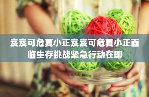 岌岌可危夏小正岌岌可危夏小正面临生存挑战紧急行动在即
