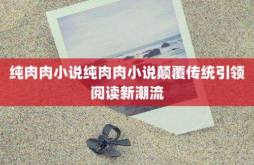纯肉肉小说纯肉肉小说颠覆传统引领阅读新潮流
