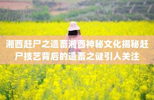 湘西赶尸之造畜湘西神秘文化揭秘赶尸技艺背后的造畜之谜引人关注