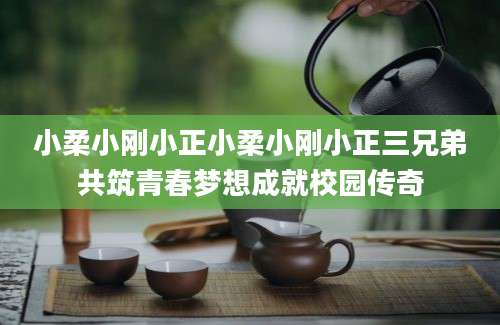 小柔小刚小正小柔小刚小正三兄弟共筑青春梦想成就校园传奇