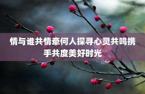 情与谁共情牵何人探寻心灵共鸣携手共度美好时光