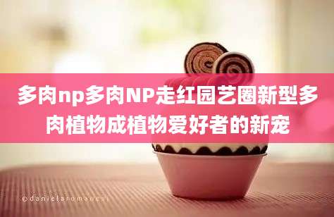 多肉np多肉NP走红园艺圈新型多肉植物成植物爱好者的新宠