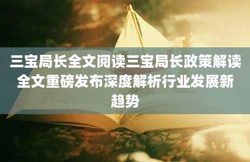 三宝局长全文阅读三宝局长政策解读全文重磅发布深度解析行业发展新趋势