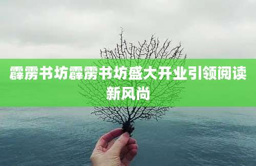 霹雳书坊霹雳书坊盛大开业引领阅读新风尚
