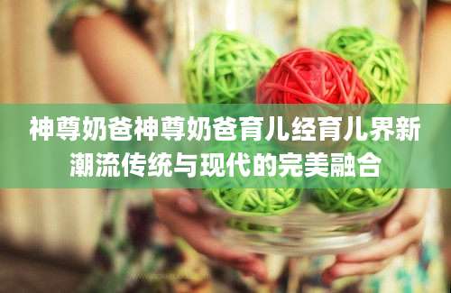 神尊奶爸神尊奶爸育儿经育儿界新潮流传统与现代的完美融合