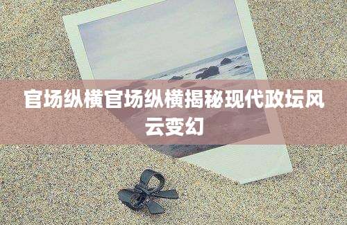 官场纵横官场纵横揭秘现代政坛风云变幻