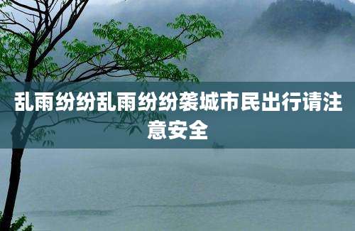 乱雨纷纷乱雨纷纷袭城市民出行请注意安全