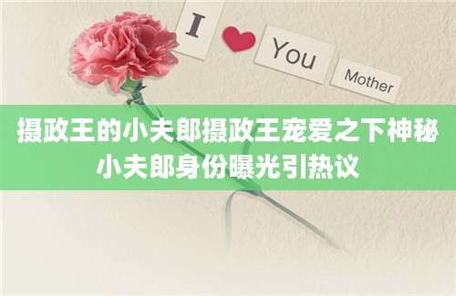 摄政王的小夫郎摄政王宠爱之下神秘小夫郎身份曝光引热议