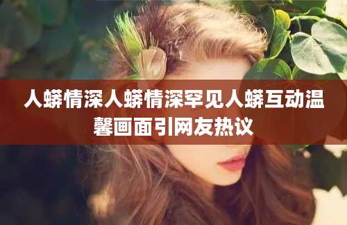 人蟒情深人蟒情深罕见人蟒互动温馨画面引网友热议