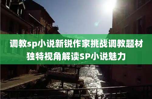 调教sp小说新锐作家挑战调教题材独特视角解读SP小说魅力