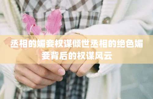 丞相的媚妾权谋倾世丞相的绝色媚妾背后的权谋风云